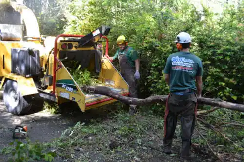 tree services East Whittier